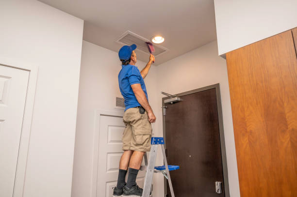 Best Local Air Duct Cleaning Services  in Big Rapids, MI